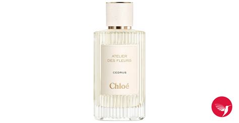 chloe cedrus fragrantica